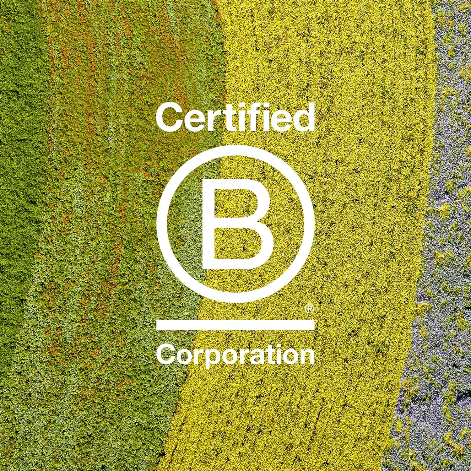 Davines OI Oil Travel Size, 1.69 fl. oz.